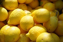 Limones para el tratamiento de la gripe - Consejo de Piramicasa