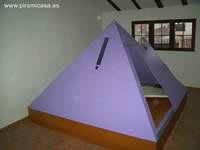 Piramicama Hércules lila