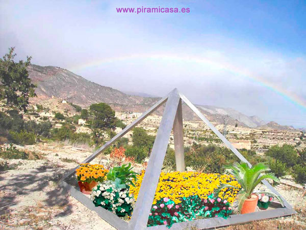 Flores y plantas creciendo fuerte en pirámide agrícola