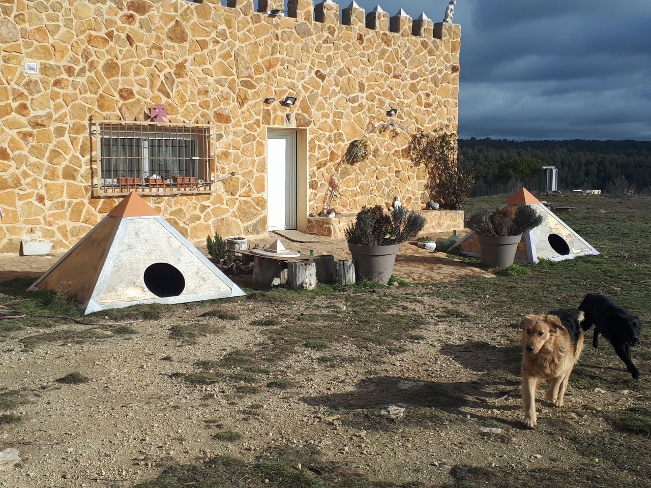 Piramascota exterior para perros de dos metros y medio